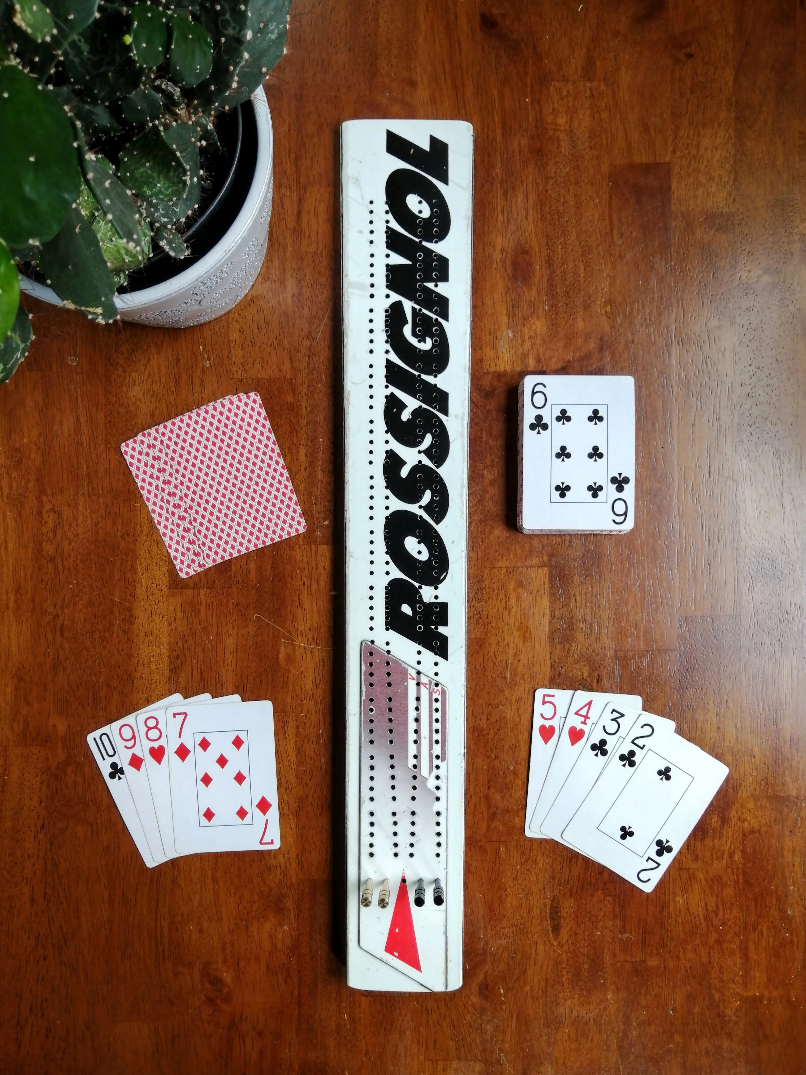 Tournament Ski Cribbage Boards