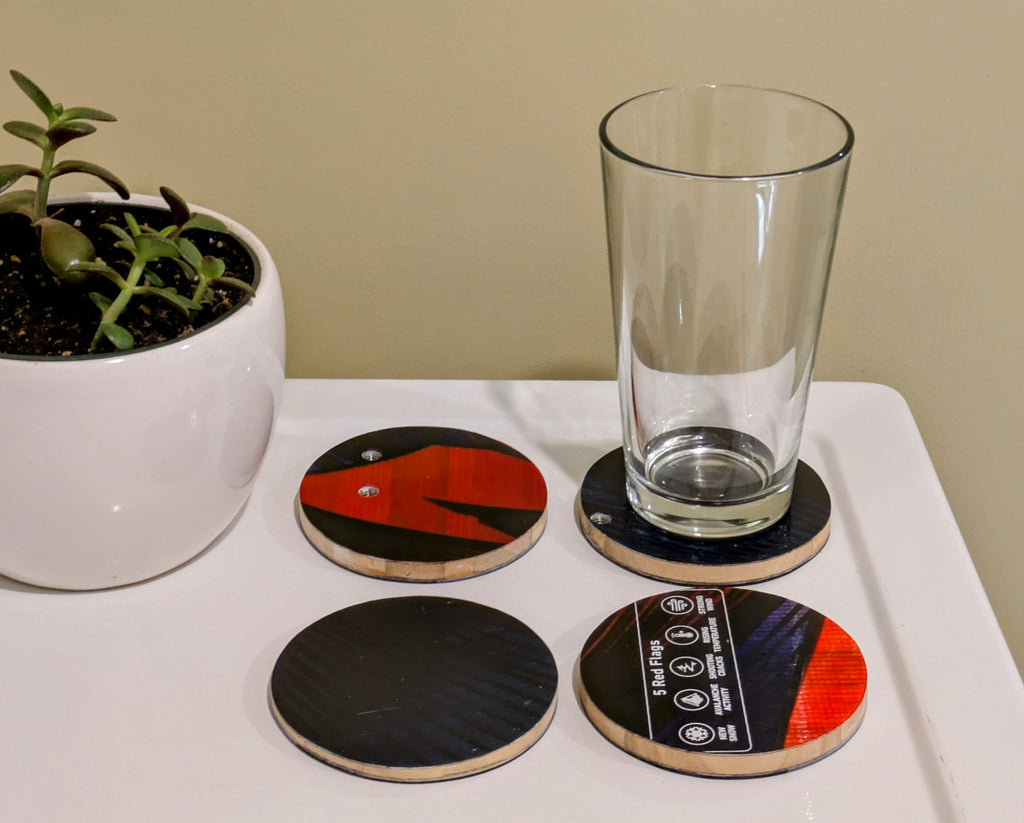 Jones - Ski Coasters