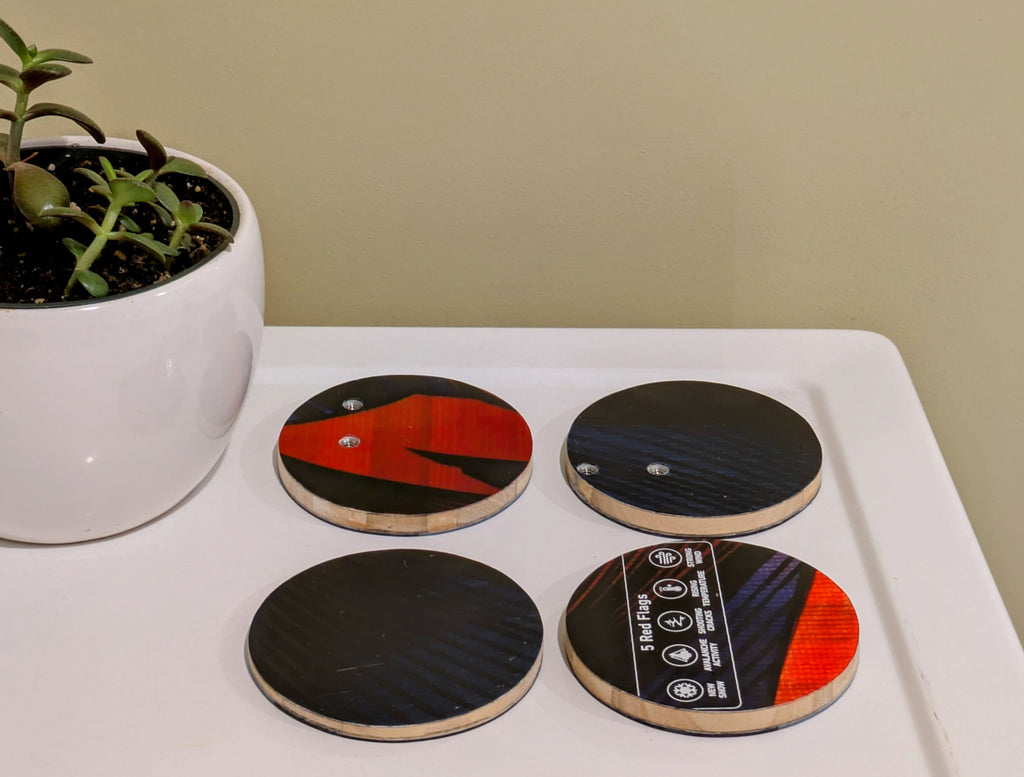 Jones - Ski Coasters