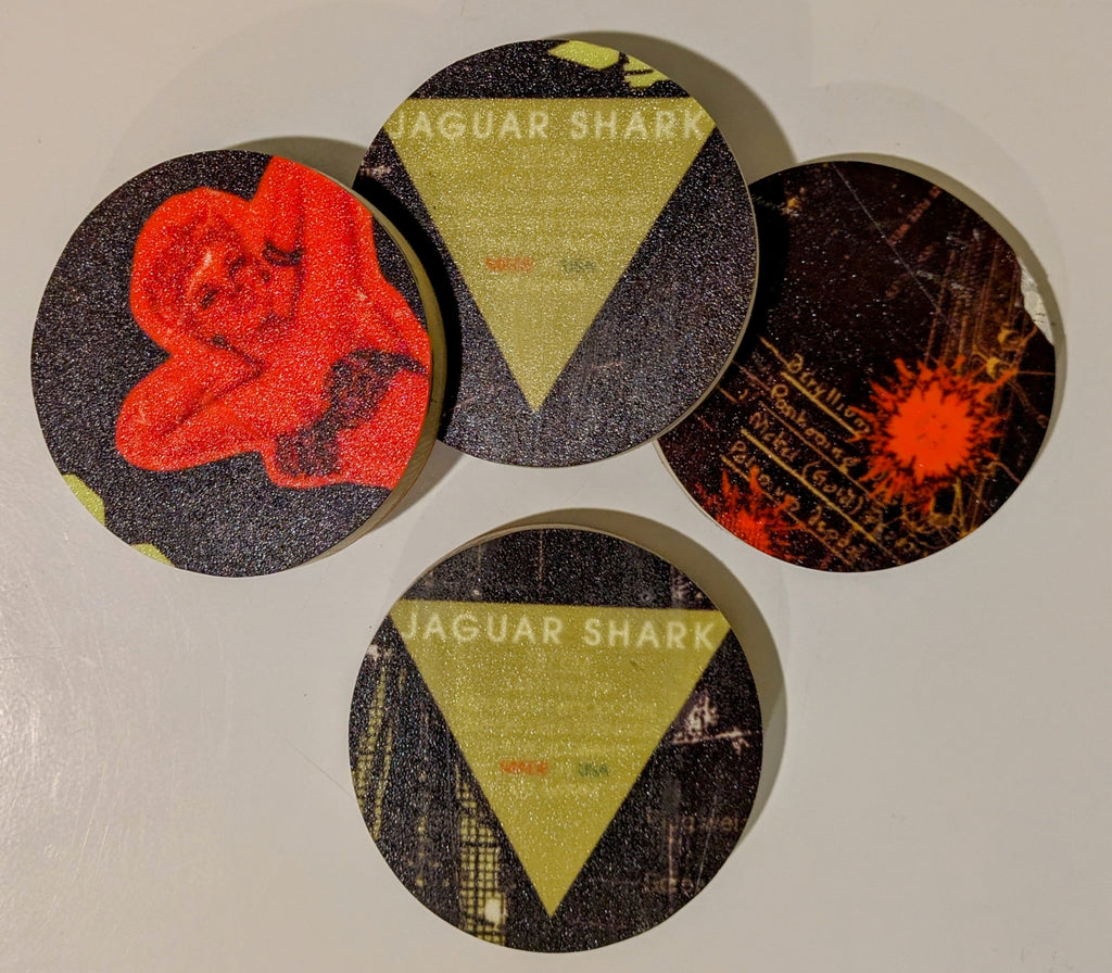 Moment - Ski Coasters