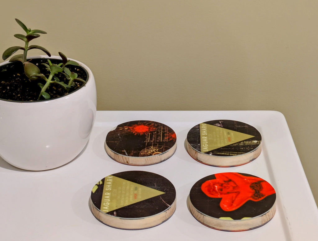 Moment - Ski Coasters