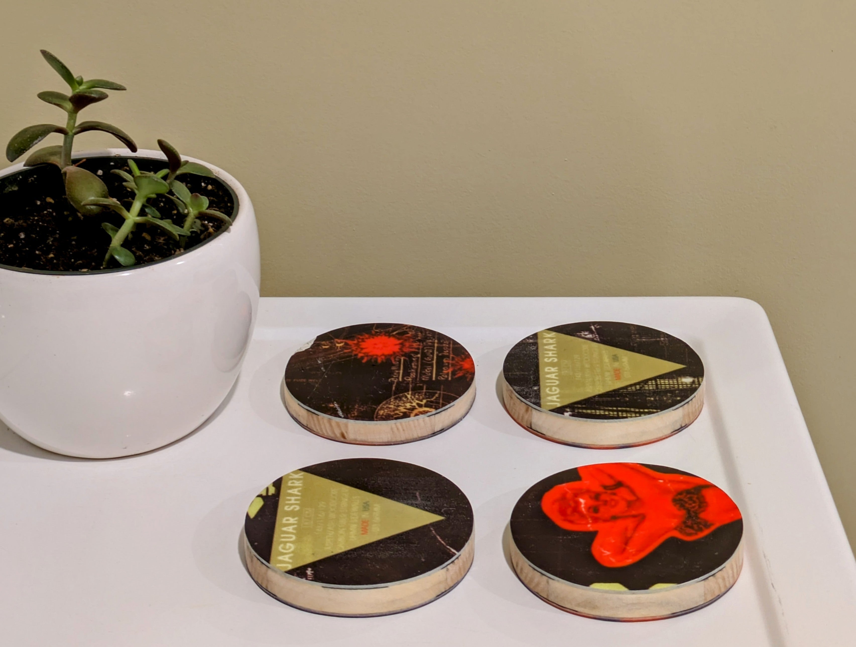 Moment - Ski Coasters