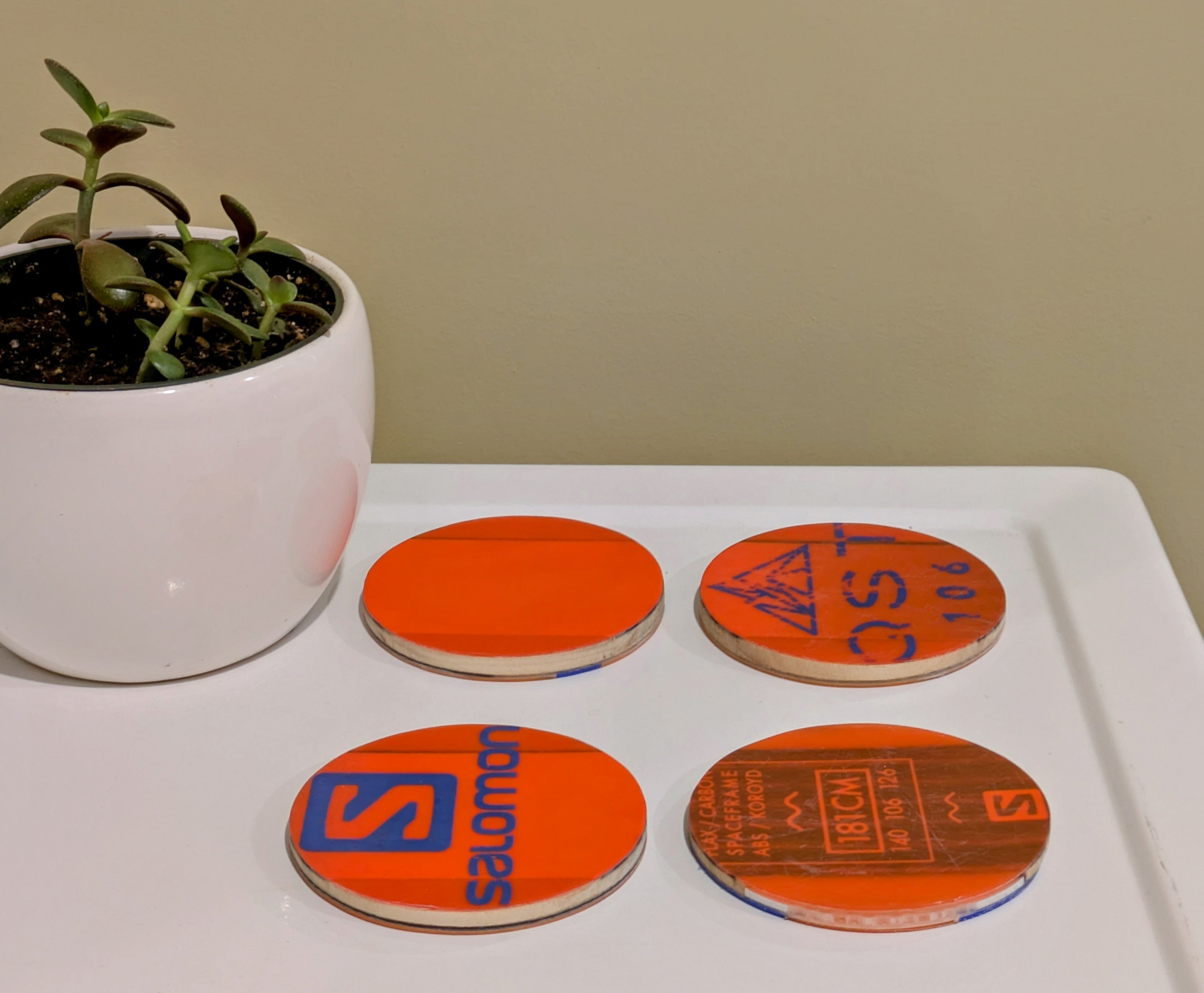 Salomon - Ski Coasters