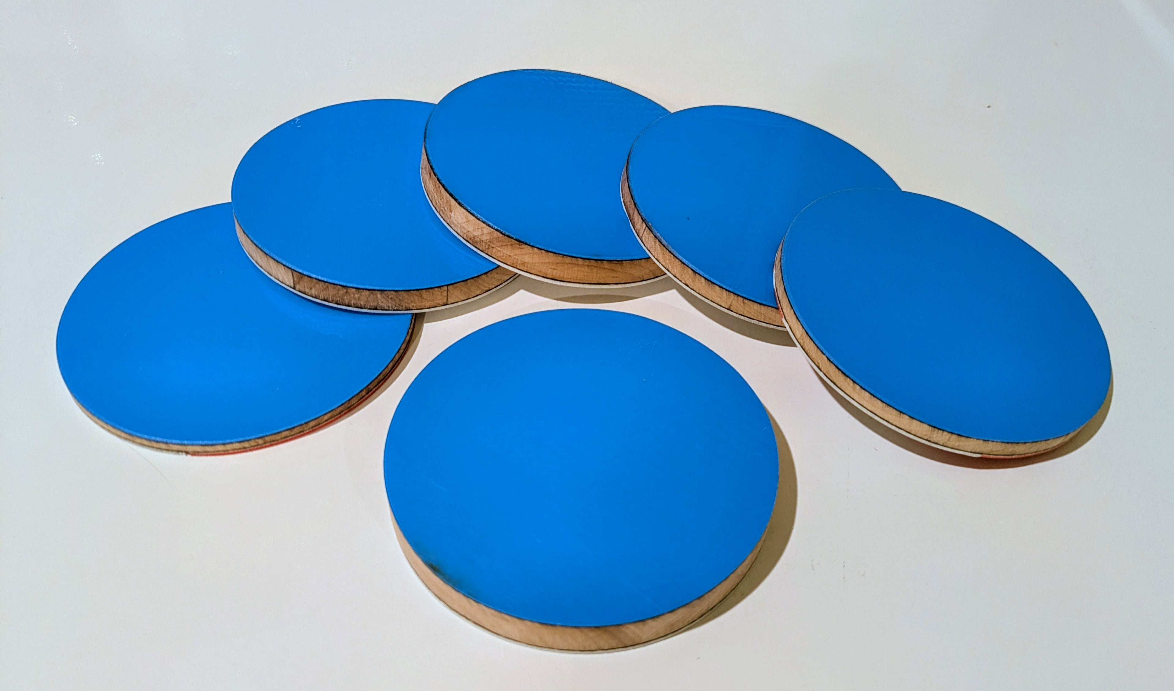 Prior (set of 6)- Ski Coasters