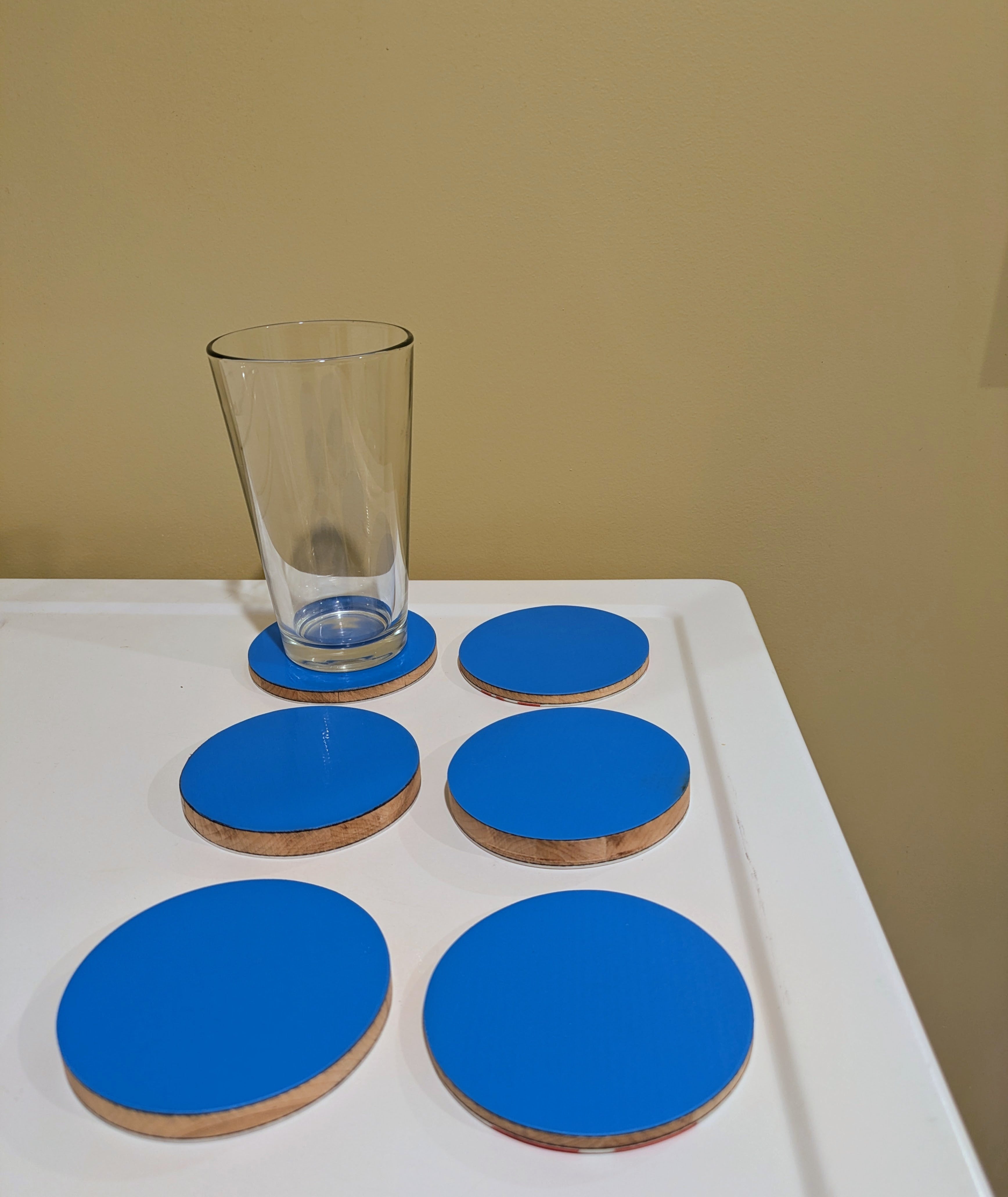 Prior (set of 6)- Ski Coasters