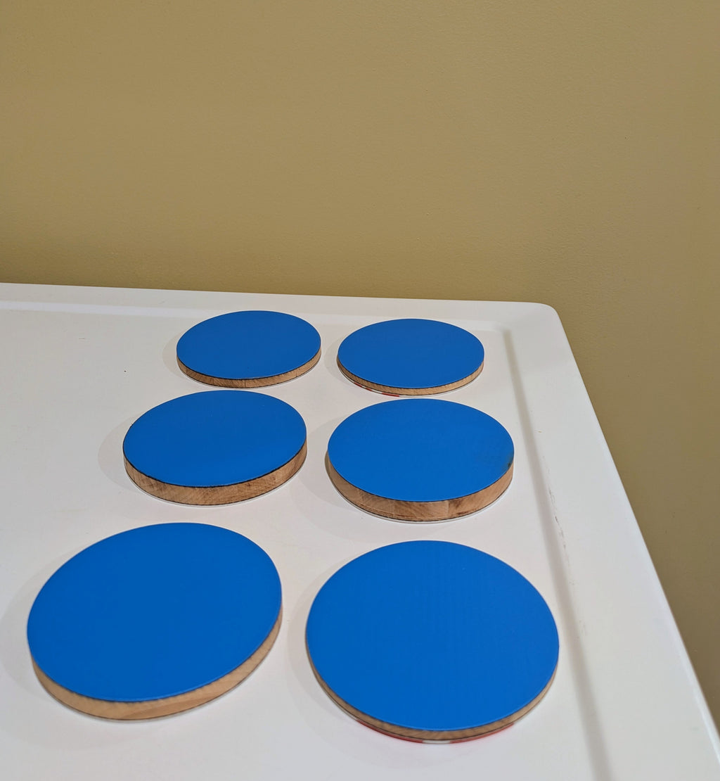 Prior (set of 6)- Ski Coasters