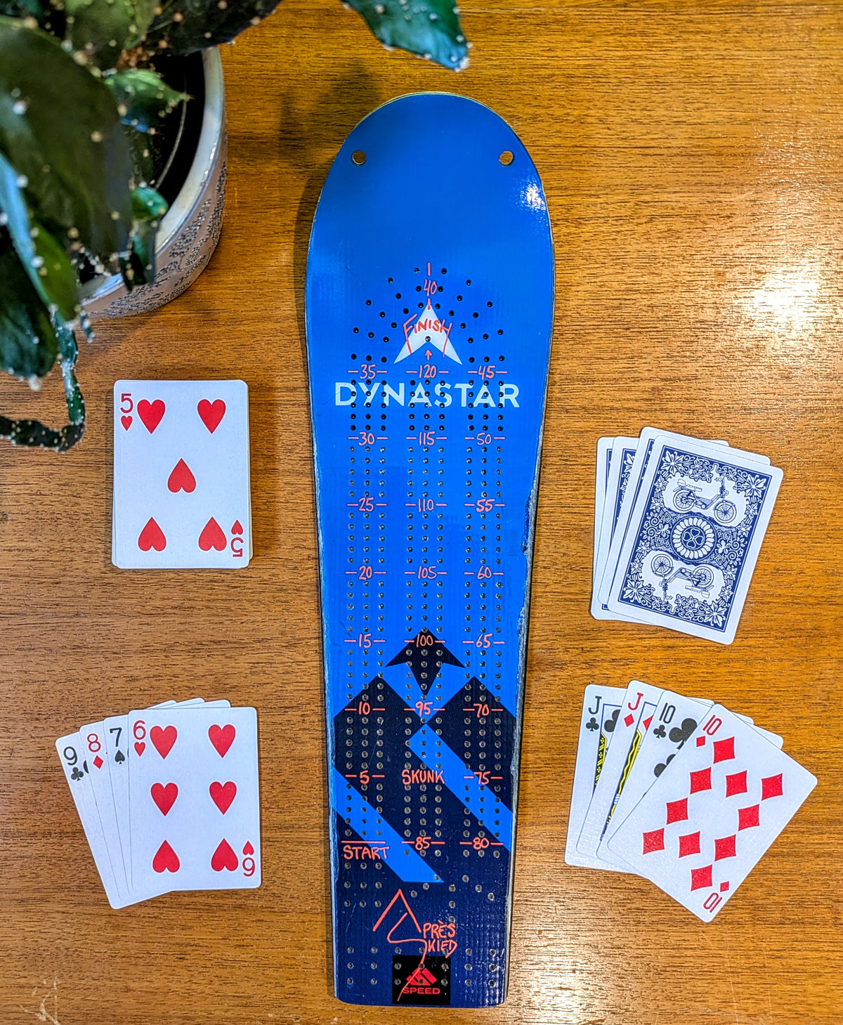 Dynastar Speed- Race Ski Cribbage board