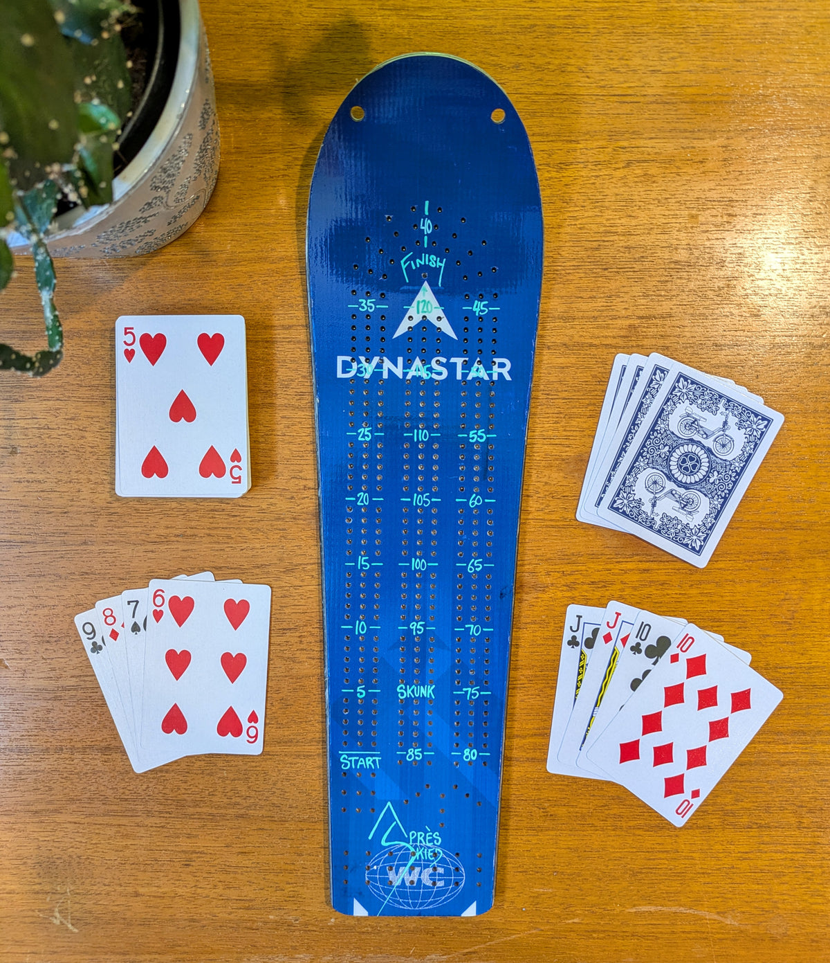Dynastar WC- Race Ski Cribbage board