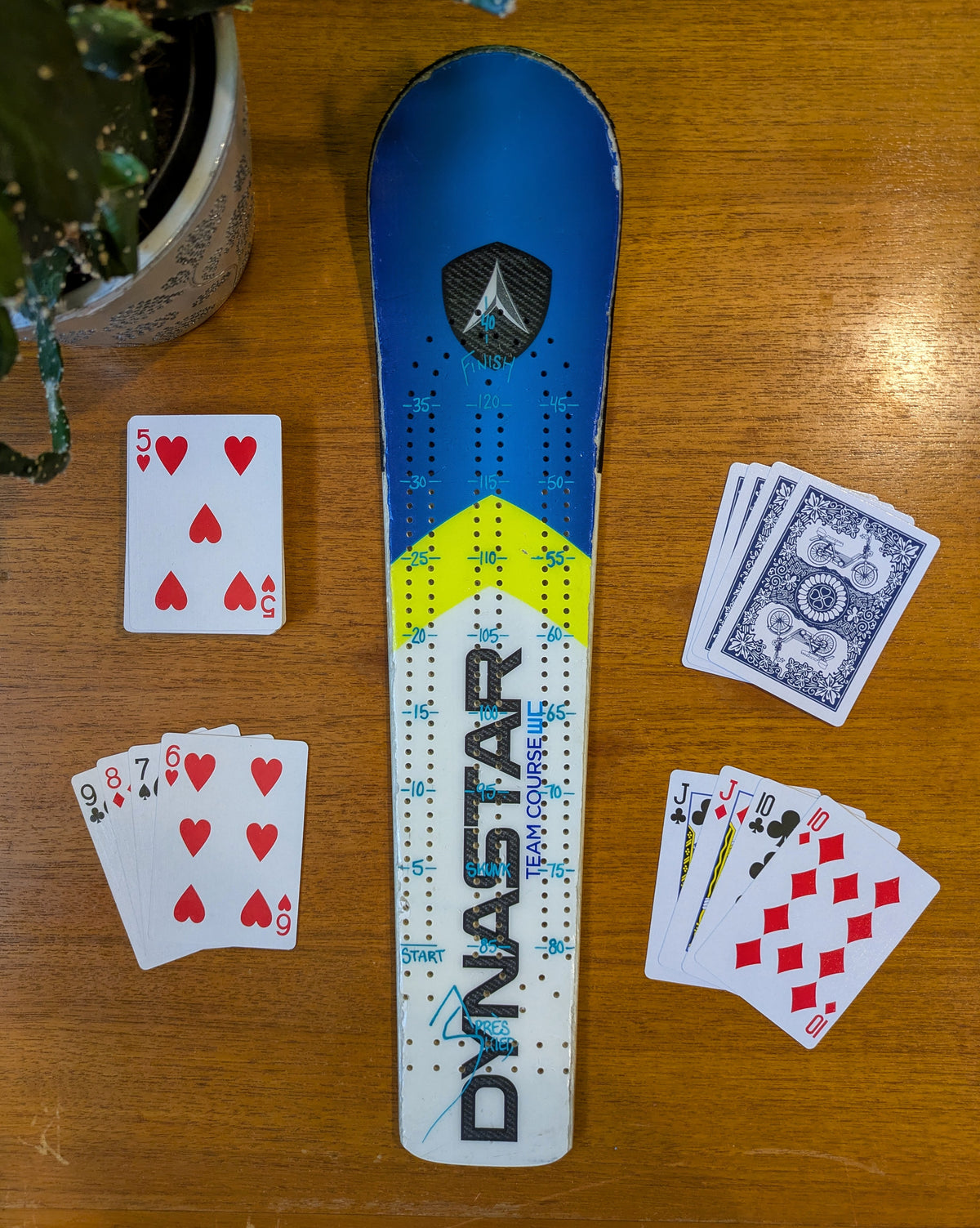 Dynastar - Race Ski Cribbage board