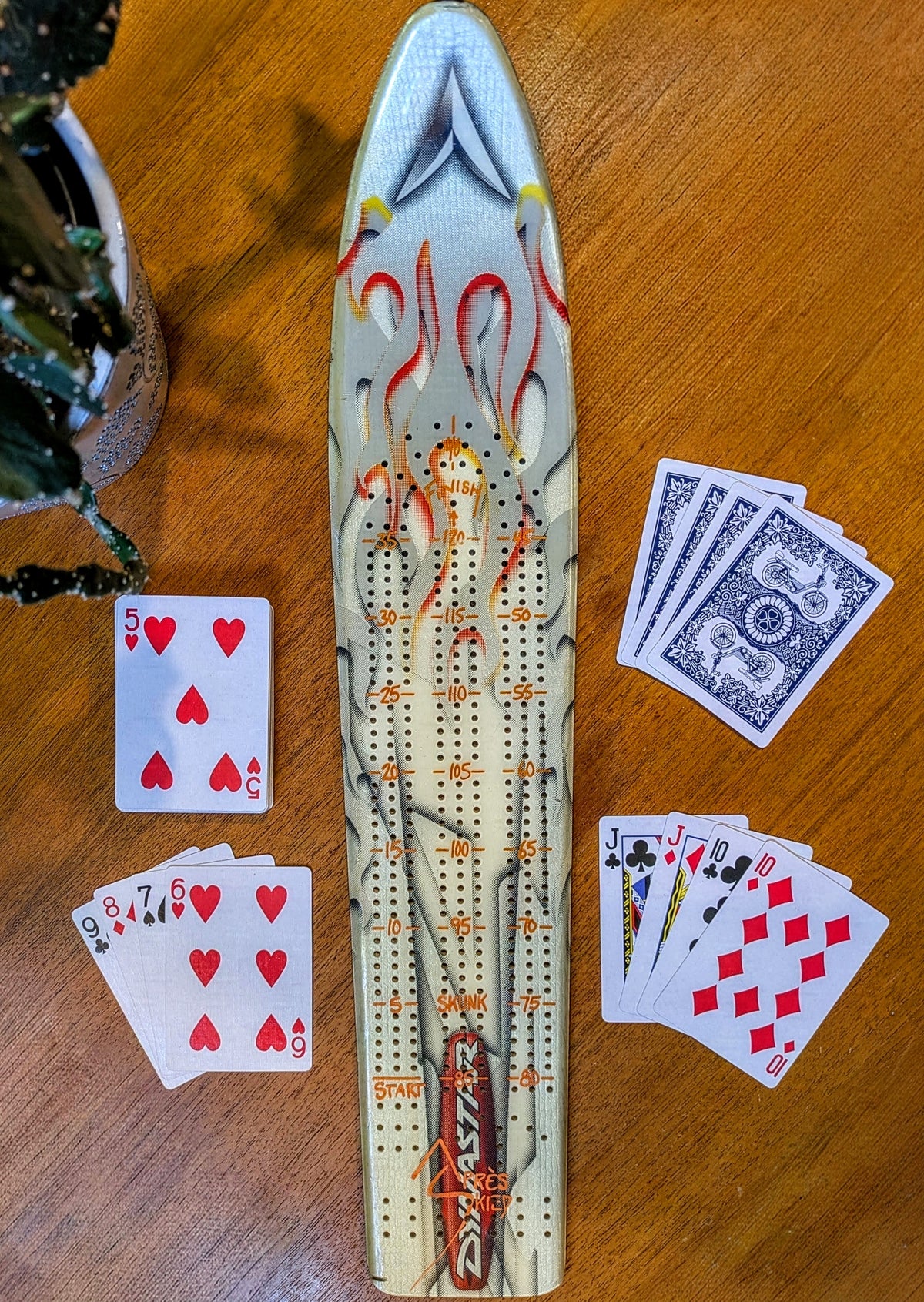 Dynastar - Ski Cribbage board