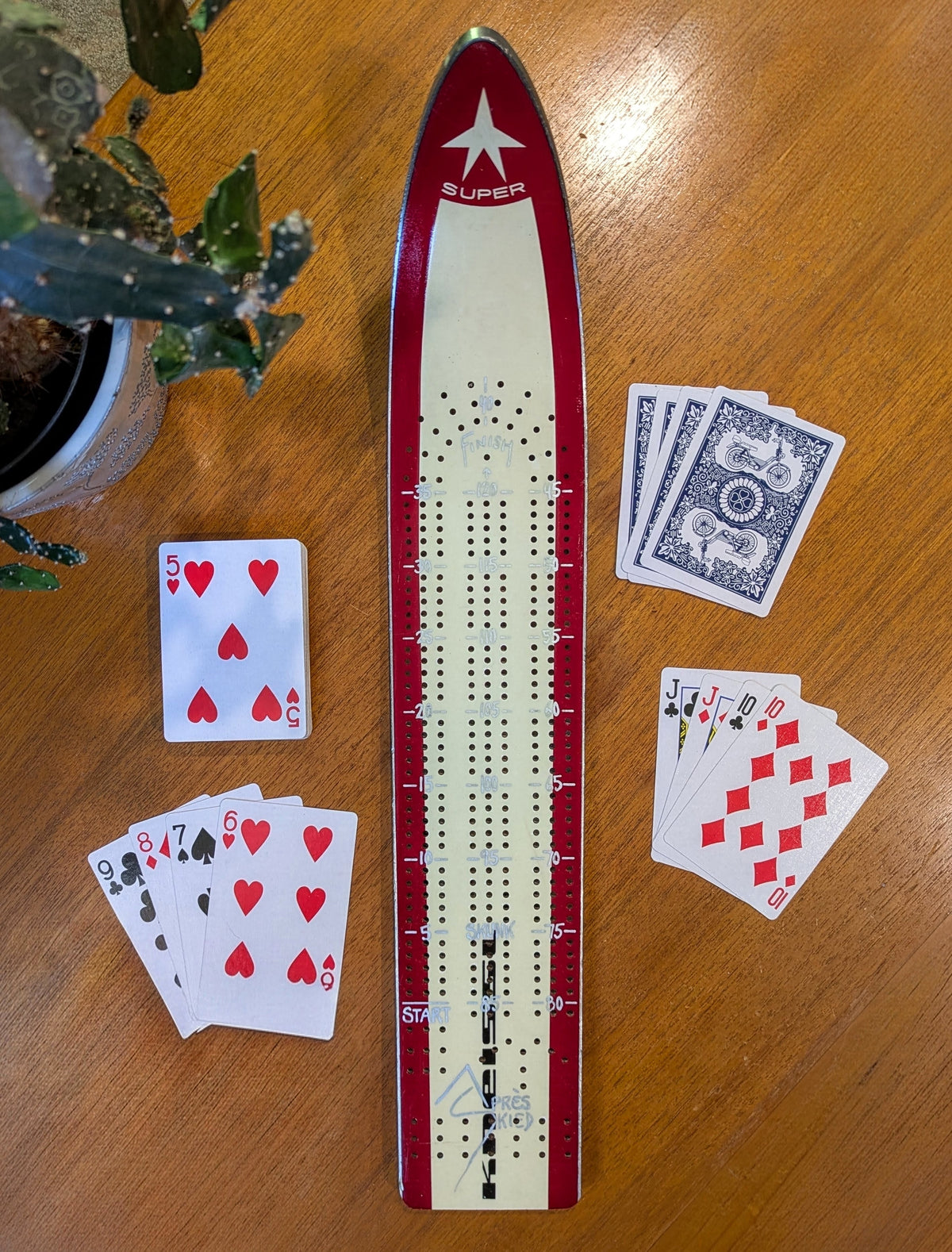 Kneissl - Skinny Ski Cribbage board
