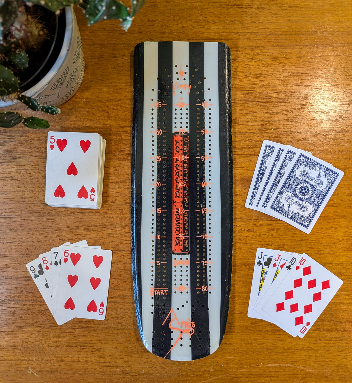 Salomon - Ski Cribbage board